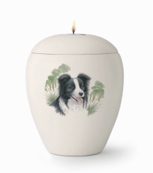 Tierurne mit Abbild eines Boarder Collies mit Gedenklicht